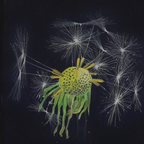Kunst bilder malerei - kunst,