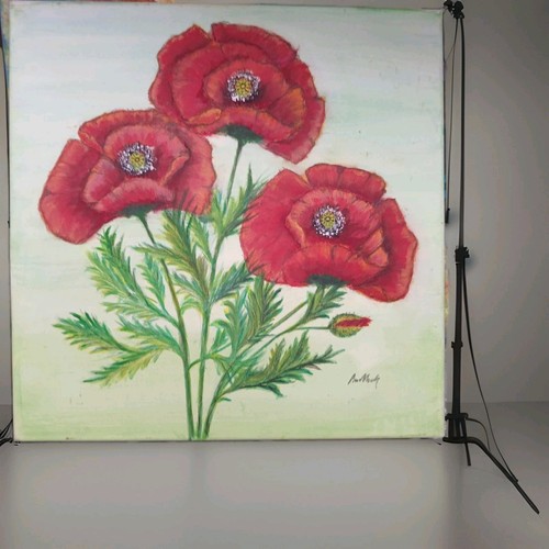 Bild mohnblumen 40x40cm auf - bild,